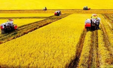 Quốc hội thông qua gia hạn miễn thuế đất nông nghiệp đến 2030: Chính sách trọng điểm hỗ trợ nông dân