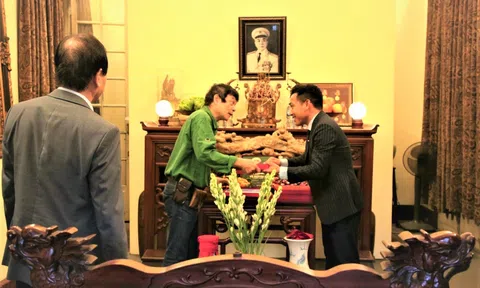 Tiếng đàn huyền thoại Võ Nguyên Giáp: Âm vang của một vị tướng trong lòng dân