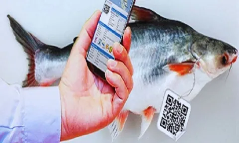 Nông sản Việt Nam trước "bài toán" truy xuất nguồn gốc: Thách thức hay cơ hội bứt phá?