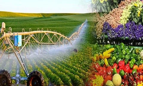 Nông nghiệp Việt Nam: Chuyển mình từ tư duy sản xuất sang kinh tế đa giá trị