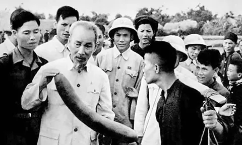Tư tưởng Hồ Chí Minh: Con đường cho nông nghiệp Việt Nam vươn tầm quốc tế