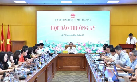 Kim ngạch xuất nhập khẩu nông, lâm, thủy hải sản 8 tháng năm 2025 đạt trên 45 tỷ USD