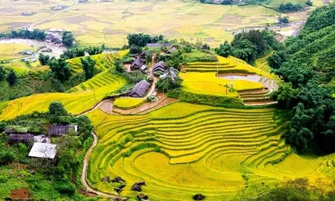 Những “nấc thang vàng” Y Tý: Mô hình nông nghiệp đa giá trị và bài học phát triển bền vững