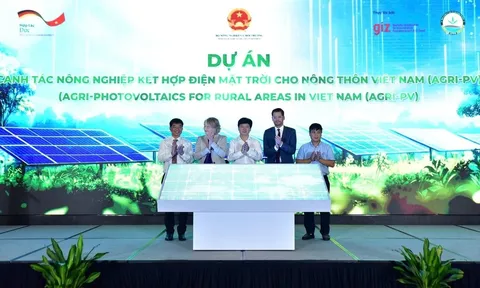 Giải pháp đột phá cho nông nghiệp Việt Nam: Dự án điện mặt trời tích hợp canh tác