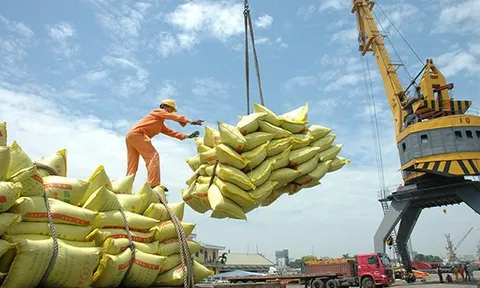 Philippines tạm ngừng nhập gạo: "Cú phanh" bất ngờ và những giải pháp từ nội lực