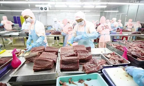 Ngành thủy sản Việt Nam những thách mới từ rào cản thị trường Mỹ