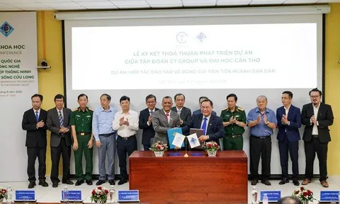 Giải pháp nào cho 'vựa lúa' Đồng bằng sông Cửu Long trước thách thức biến đổi khí hậu?