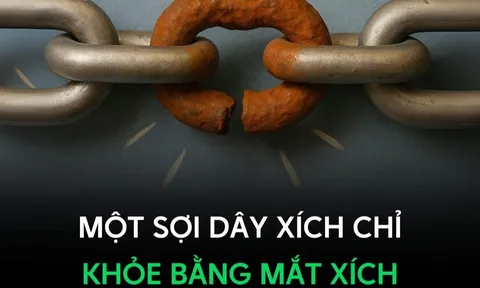 Sức khỏe của một dây xích được đo bằng mắt xích yếu nhất: Bài học cho mọi hệ thống