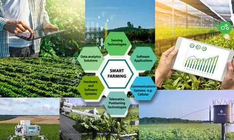 Nông nghiệp số: Hành trình chuyển mình từ tri thức đến đổi mới sáng tạo