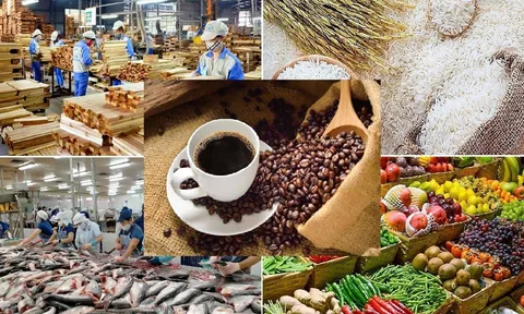 Nông sản Việt vươn tầm thế giới: Giáp pháp từ triết lý tối ưu toàn cục
