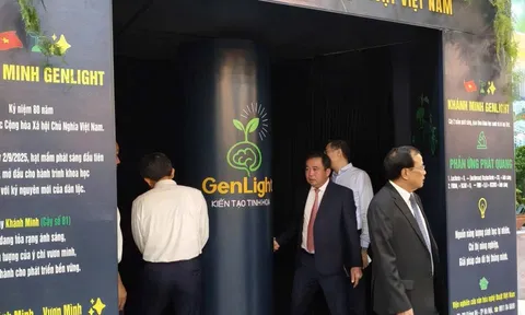 Cây phát sáng sinh học gây ấn tượng tại Triển lãm Nông thôn mới Thủ đô