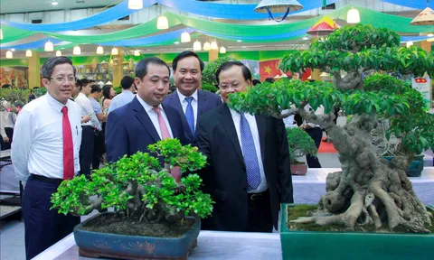 Cây cảnh nghệ thuật và Nghệ thuật cây cảnh
