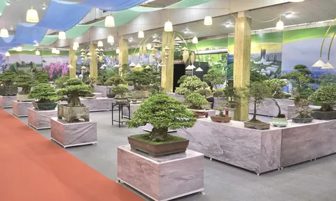 Cây cảnh nghệ thuật và Nghệ thuật cây cảnh