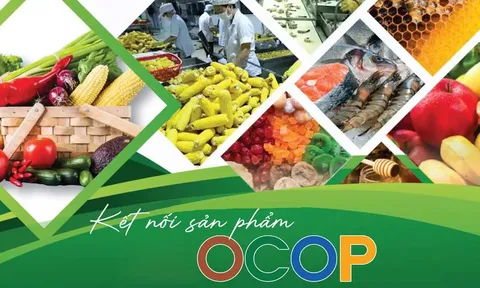 OCOP Việt Nam: Bốn trụ cột nâng cao chất lượng sản phẩm gắn với phát huy tri thức bản địa