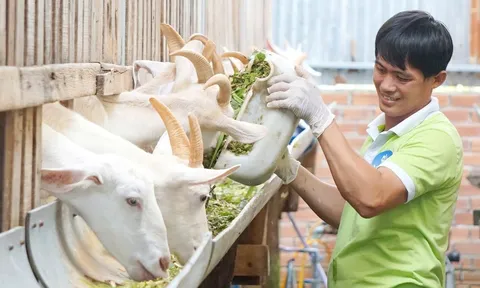 Cần định vị chính xác: Nông dân họ là ai?
