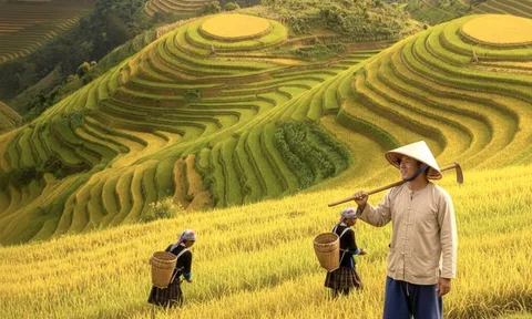Nông nghiệp sinh thái tại Việt Nam: Thực trạng, giải pháp và những vấn đề đặt ra
