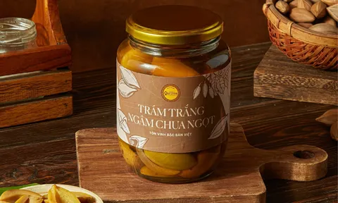 Quả trám - "Vàng đen của núi rừng": Giá trị ẩm thực, dinh dưỡng và văn hóa thu hoạch, sơ chế (Kỳ 5)