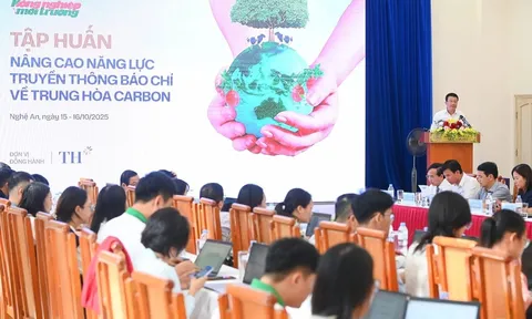 Khung chính sách trung hòa carbon Việt Nam: Quyết tâm Net Zero 2050