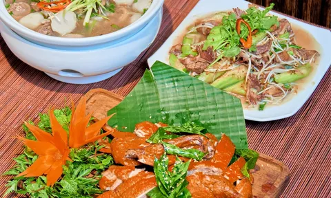 Giải mã tinh hoa âm thực vùng cao: Công thức độc quyền tạo nên danh tiếng Nhà hàng Quả Trám (Kỳ 9)