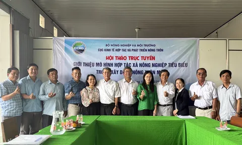 Giải mã thành công của HTX Nông nghiệp Tân Bình