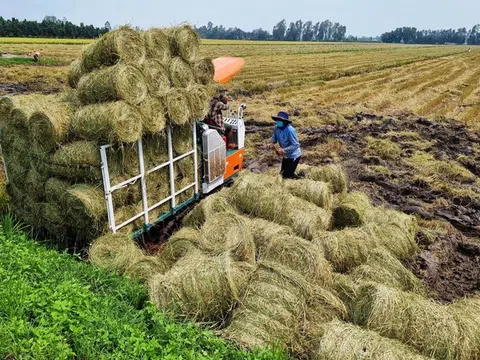 Kinh tế tuần hoàn, xu thế tất yếu phát triển nông nghiệp bền vững