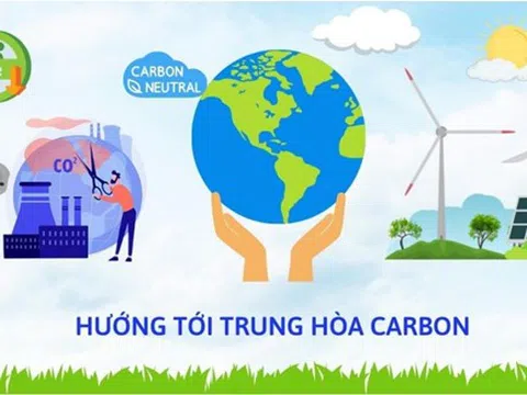 Thị trường carbon thế giới và ở Việt Nam