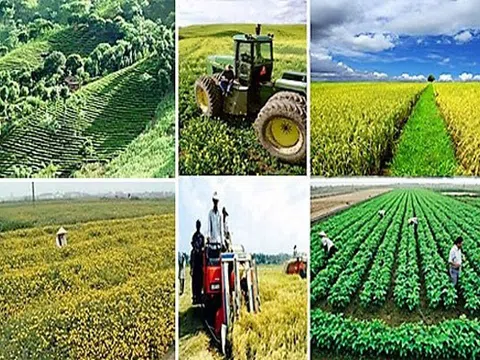 Tái cơ cấu ngành nông nghiệp