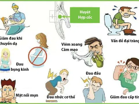 Tác dụng tuyệt vời làm tăng sức đề kháng từ một số huyệt đơn giản