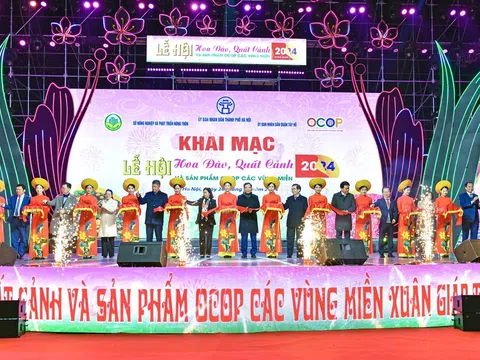 Lễ hội hoa đào, quất cảnh và sản phẩm OCOP các vùng miền Xuân Giáp Thìn 2024 khai mạc