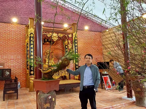 PHOTO: Bộ sưu tập Bonsai tre của nghệ nhân Nguyễn Sỹ Thái Bình
