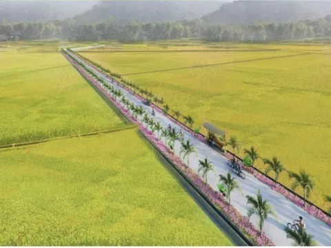 Nông nghiệp đô thị và những vấn đề đặt ra trên địa bàn thành phố Hà Nội (Kỳ 9)