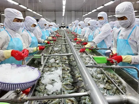 Xuất khẩu thủy sản Việt Nam 2024: Tăng trưởng mạnh mẽ nhưng đối mặt với thách thức giá cả