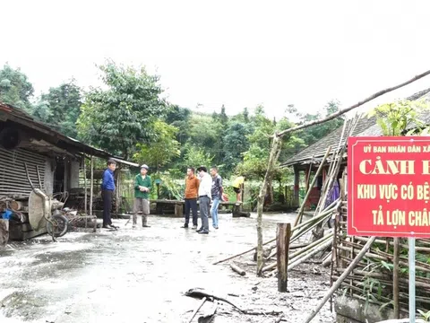Hà Giang: Ngăn chặn nguy cơ bùng phát dịch tả lợn Châu Phi