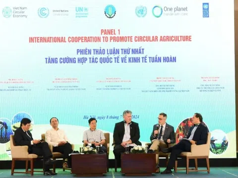 Hội nghị Đối Thoại Chính Sách: Thúc đẩy kinh tế tuần hoàn trong nông nghiệp tại Việt Nam