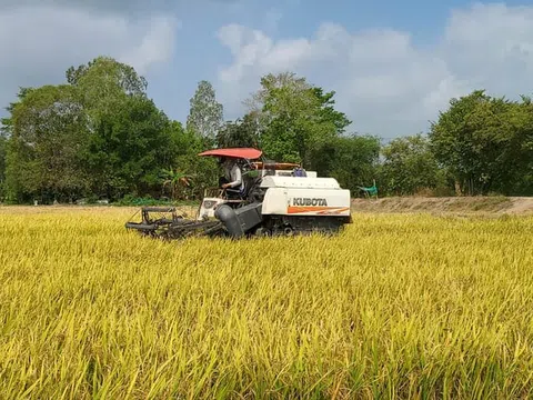 Xuất khẩu gạo Việt Nam bứt phá mạnh mẽ nhờ Philippines