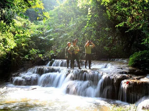 Tuyên Quang: Na Hang tuyên truyền bảo vệ rừng hiệu quả