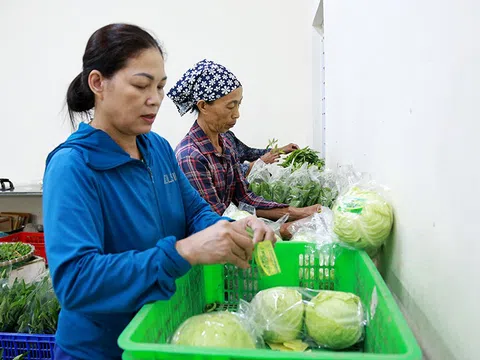 Vĩnh Phúc: Phát triển nông nghiệp theo hướng hữu cơ, nâng cao hiệu quả kinh tế