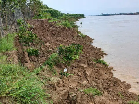 Vĩnh Phúc: Ứng phó với bão số 3, hạn chế thấp nhất thiệt hại về người và tài sản