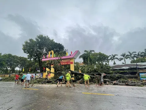 Tuyên Quang: Khẩn trương khắc phục hậu quả bão số 3, nhanh chóng ổn định đời sống nhân dân