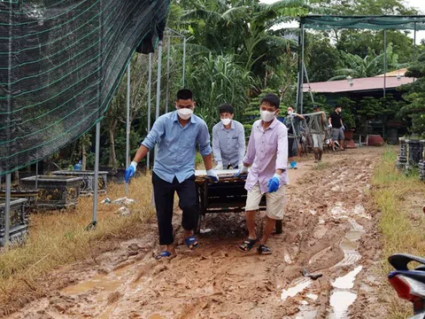 Vĩnh Phúc: Lập Thạch người dân khắc phục hậu quả mưa lũ, sớm ổn định đời sống