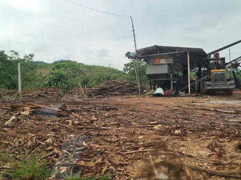 Tuyên Quang: Dân thôn Bắc Ngõa, xã Ngọc Hội (Chiêm Hóa) kiến nghị xưởng sơ chế gỗ Tuấn Ánh gây tiếng ồn di dời đi nơi khác