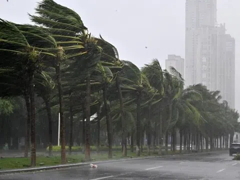 Ngân hàng phát triển Châu Á hỗ trợ Việt Nam ứng phó với thiên tai do bão yagi