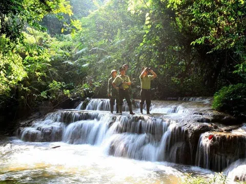 Na Hang quản lý, bảo vệ rừng phòng hộ thuỷ điện Tuyên Quang