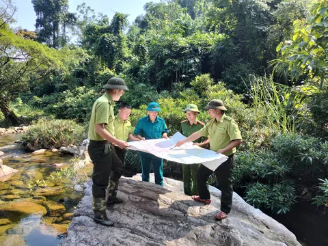 Một số hình ảnh bảo vệ rừng đặc dụng Cham Chu (Tuyên Quang)