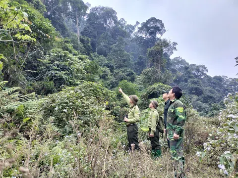 Tuyên Quang: Chùm ảnh Trạm Kiểm lâm Khu A (Na Hang) tuần tra bảo vệ rừng