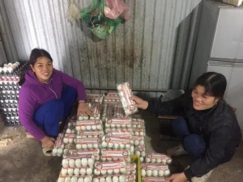 Chuỗi liên kết tiêu thụ trứng vịt Liên Châu