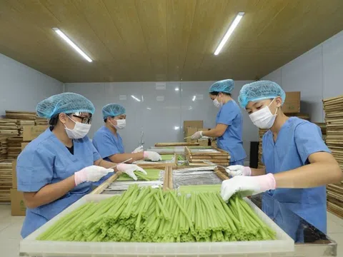 Phát triển sản phẩm OCOP xanh, sạch, an toàn