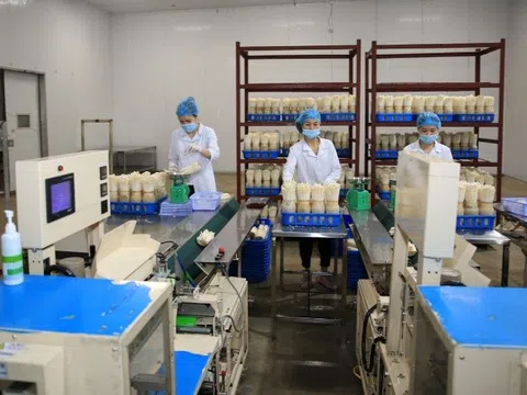 Sản phẩm OCOP minh bạch thông tin