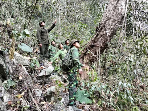 Tuyên Quang: Trạm Kiểm lâm Phúc Sơn (Lâm Bình) giữ rừng ngày Xuân