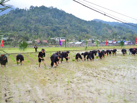 Bài thơ: Lễ hội xuống đồng